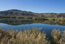 Todo viaje tiene un inicio …