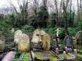 Highgate Cemetery de Londres, donde a la muerte se le llama arte
