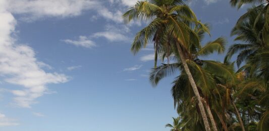 Bocas del Toro, escondido destino virgen en Panamá