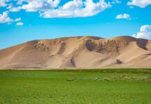 El entorno sagrado de las dunas Mongol Els de Mongolia