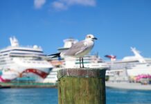 Bay Street y el downtown de Nassau, el corazón de Bahamas