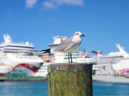 Bay Street y el downtown de Nassau, el corazón de Bahamas