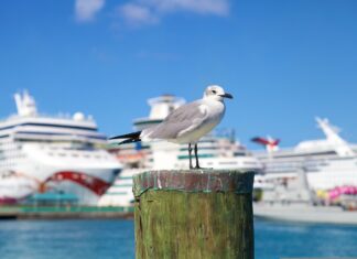 Bay Street y el downtown de Nassau, el corazón de Bahamas