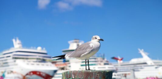 Bay Street y el downtown de Nassau, el corazón de Bahamas