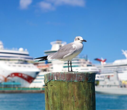 Bay Street y el downtown de Nassau, el corazón de Bahamas