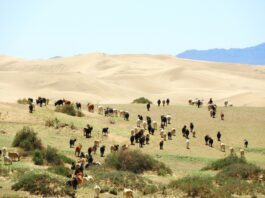 El infierno de cruzar el desierto de Gobi