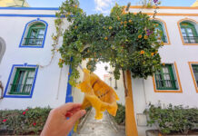 Cordial Mogán Playa, vacaciones en familia en Gran Canaria thewotme cordial puerto mogan playa gran canaria hotel