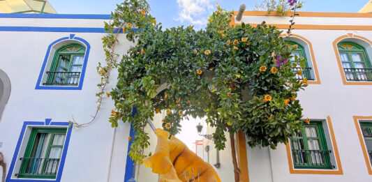 Cordial Mogán Playa, vacaciones en familia en Gran Canaria thewotme cordial puerto mogan playa gran canaria hotel