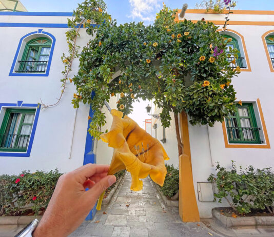 Cordial Mogán Playa, vacaciones en familia en Gran Canaria thewotme cordial puerto mogan playa gran canaria hotel