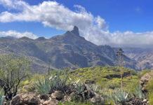 Los mejores lugares que ver en Gran Canaria Los mejores lugares que ver en Gran Canaria - thewotme