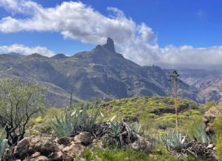 Los mejores lugares que ver en Gran Canaria Los mejores lugares que ver en Gran Canaria - thewotme