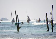 Alojamientos de Lujo en Sri Lanka / Luxury Accomodation in Sri Lanka