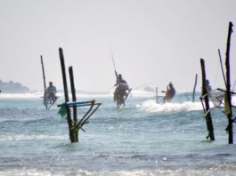 Alojamientos de Lujo en Sri Lanka / Luxury Accomodation in Sri Lanka