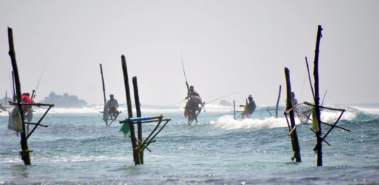 Alojamientos de Lujo en Sri Lanka / Luxury Accomodation in Sri Lanka