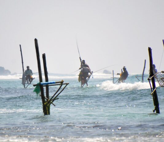 Alojamientos de Lujo en Sri Lanka / Luxury Accomodation in Sri Lanka