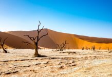 Namibia en su máxima esencia: una travesía por los lugares imprescindibles del país más fascinante del África austral Image by Ton W from Pixabay