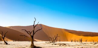 Namibia en su máxima esencia: una travesía por los lugares imprescindibles del país más fascinante del África austral Image by Ton W from Pixabay